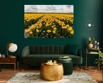 Champ de tulipes sur Yanuschka Fotografie | Noordwijk