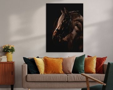 Fine Art portrait horse with bridle by Yvonne van de Kop