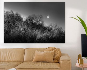 Moonset, Wolfslaar, Breda, barony, North Brabant, Netherlands, Holland by Ad Huijben
