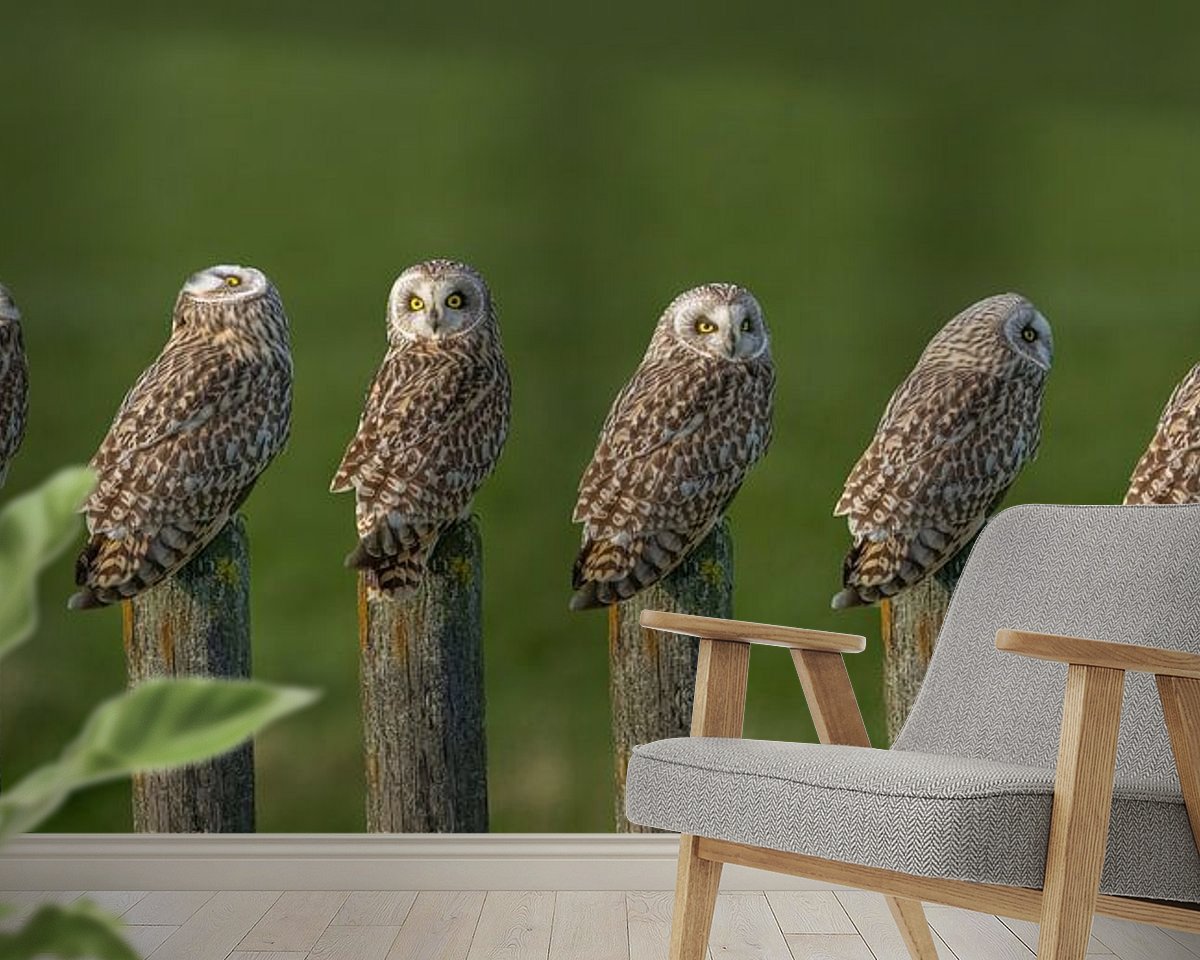 Raumvorschau