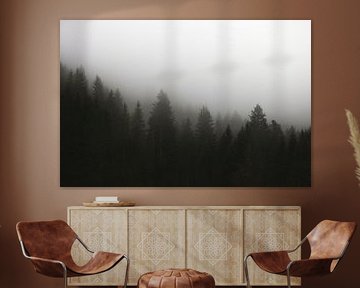 Mysteriöser dunkler Wald im Nebel | Landschaftsfotografie | stimmungsvoll