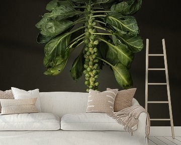 Seasonal vegetables - Field sprouts by Mariska Vereijken