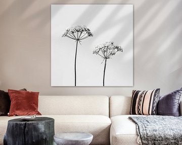 Stilleben mit zwei Pflanzen in schwarz-weiß von Studio Allee