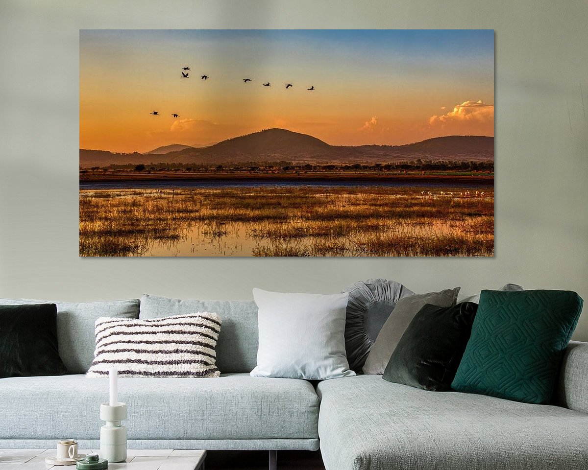 Aperçu de la chambre