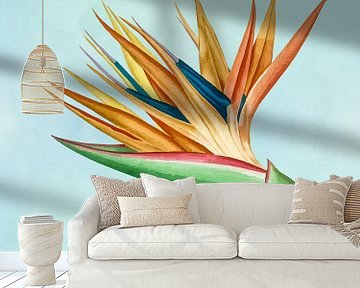 Strelitzia Reginae - Paradijsvogelplant van MDRN HOME