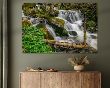 Waterfall in a forest by Menno van der Haven