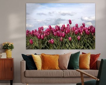A field of red tulips with stacking clouds as background by W J Kok