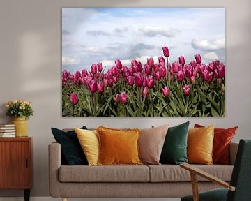 Een veld met rode tulpen met stapelwolken als achtergrond