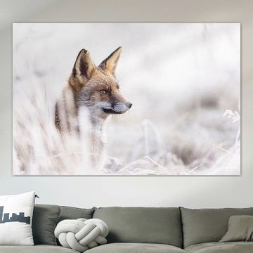 Winterfuchs, eine magische Begegnung