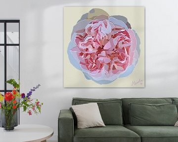 Soft pink rose by Mascha Siekkötter