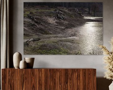 Woest Landschap, Surae, Dorst, Oosterhout, Breda, Baronie, Noord-Brabant, Nederland, Holland. van Ad Huijben