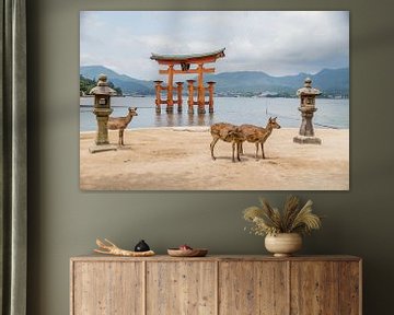 Oranje torii met sikaherten Miyajima Japan