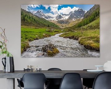 Ruisseau de montagne dans l'alpage de Stabele, dans la vallée de l'Ötztal, au Tyrol. sur Sjoerd van der Wal Photographie