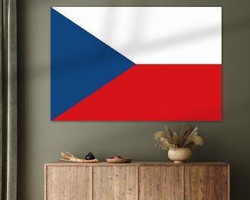 Vlag van Tsjechië van de-nue-pic