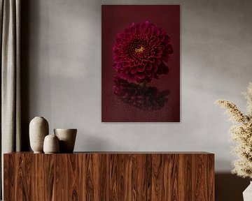 Paix et simplicité : Nature morte aux fleurs : le chrysanthème sur Marjolijn van den Berg