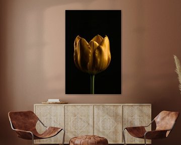 Élégante tulipe dorée sur fond noir profond sur De Muurdecoratie