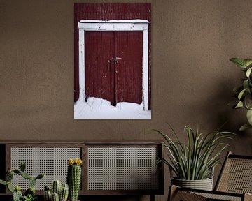 Double red-brown door in the snow