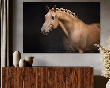 portret van een paard met knotjes | palomino | paarden fotografie van Laura Dijkslag