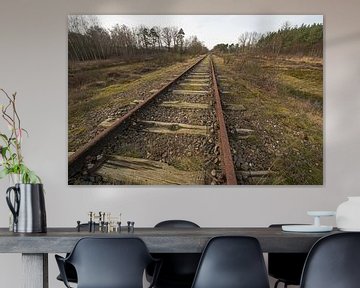 Oude spoorlijn Borkense Baan nabij de Duitse grens in de gemeente Winterswijk von Tonko Oosterink