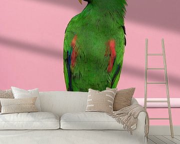 Male green noble parrot in pink by Elles Rijsdijk