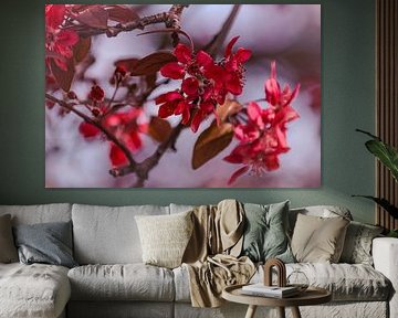 The red flowers like a painting. by Robby's fotografie