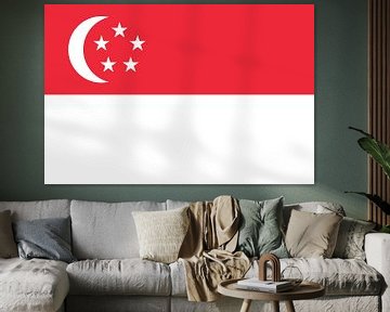 Vlag van Singapore van de-nue-pic