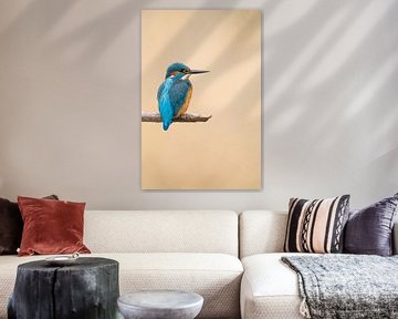 Ijsvogel van Ronald Buitendijk Fotografie