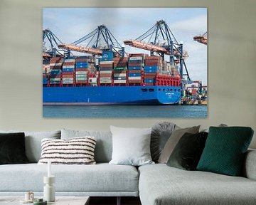 Containerschiff im Hafen von Rotterdam von Richard Rijsdijk