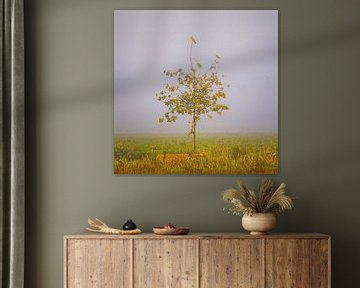 Kestrel on a treetop by Henk Meijer Photography