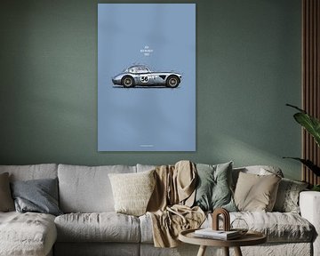 Cars in Colors, Austin Healey 3000