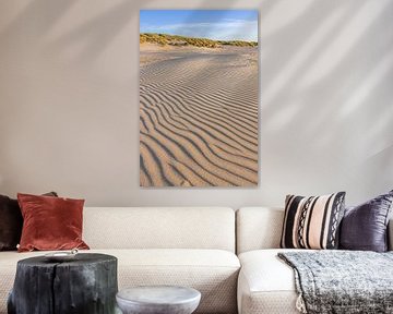 Beach and dunes on West-Terschelling by Sander Groenendijk