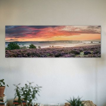 Panoramic flowering heather on the Posbank by Sander Grefte