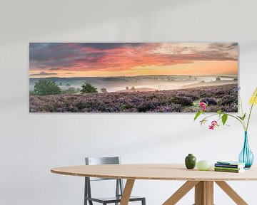 Panorama bloeiende heide op de Posbank van Sander Grefte