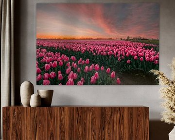 Champs de tulipes roses sur Sidney van den Boogaard