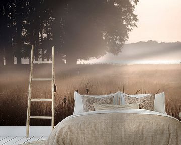 Zon belichte lisdodde bij ochtendgloren [liggend] van Affect Fotografie