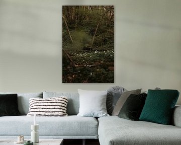 Bosanemoon in Marchin, de Ardennen België - verticaal van Manon Visser