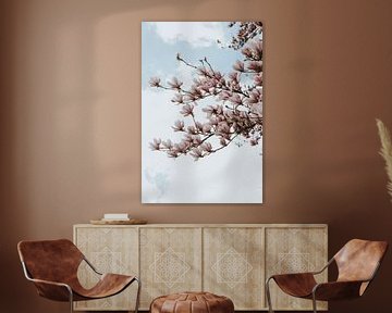 Magnolia boom in Marchin, Belgische Ardennen van Manon Visser