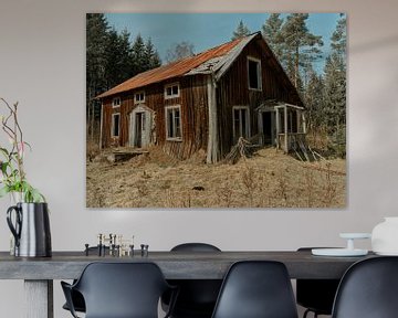Eén jaar oude Grand Danois in verlaten huis in Småland Zweden.