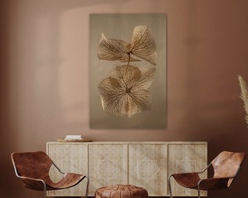 Een hortensia blaadje met spiegelbeeld in bruintinten van Marjolijn van den Berg