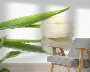 White tulip resting on a mirrored surface by Marjolijn van den Berg