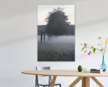 Evening in Brandenburg by Stefan Hannemann