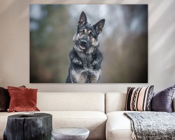 Duitse herder hond portret van Sanne Harmsen
