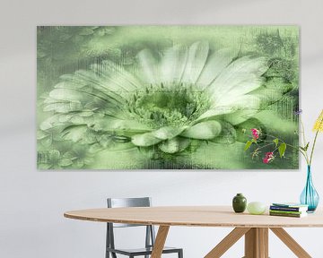 Gerbera groen, met tekst