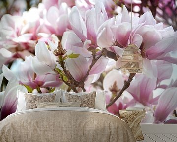 Magnolia droom van Claudia Moeckel