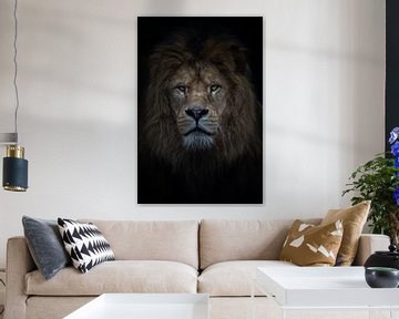 Afrikaanse leeuw van Kimberly de Jager