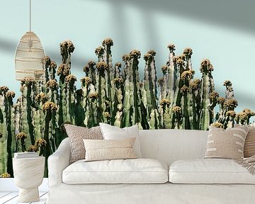 Cactus vibes | Print Gran Canaria Canarische Eilanden | Spanje botanische reisfotografie van HelloHappylife