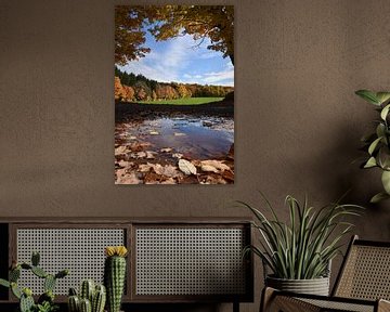 Het Landschap van de herfst van Claude Laprise