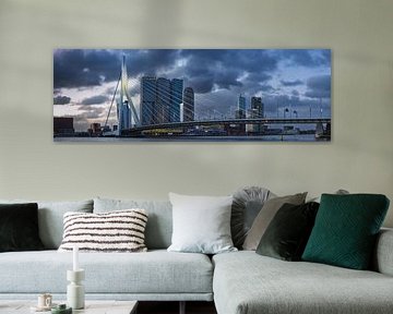 Nieuwe Maas avec le pont Erasmus et les gratte-ciel, Rotterdam sur Walter G. Allgöwer