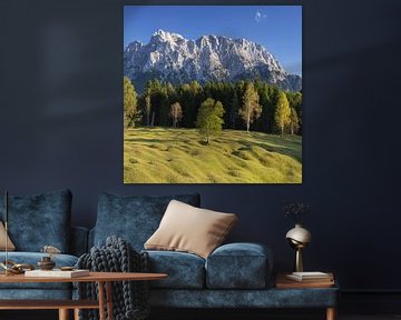 Prairies de bosses entre Mittenwald et Krün, Werdenfelser Land, derrière les montagnes du Karwendel sur Walter G. Allgöwer