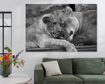Lioness with cub von Angelique van Heertum